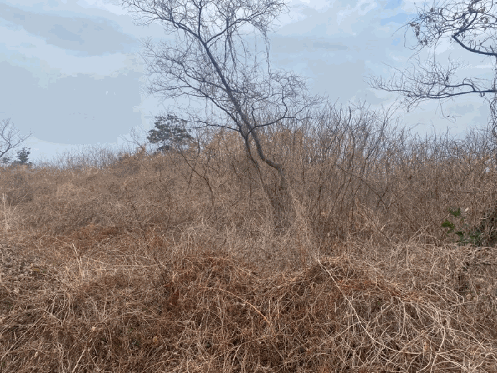 물건 사진 12