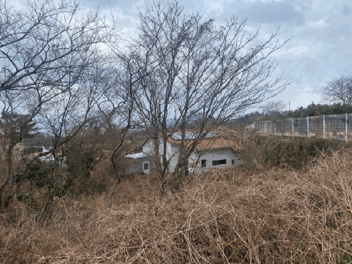 물건 사진 20