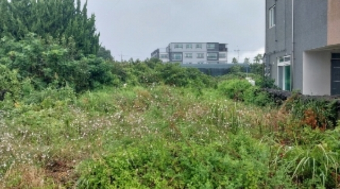 물건 사진 16