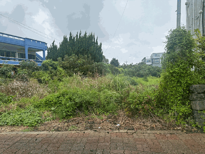 물건 사진 30