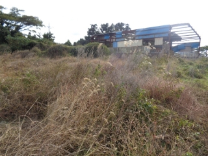 물건 사진 10