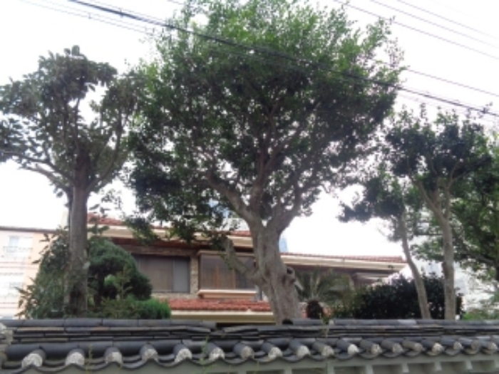 물건 사진 9