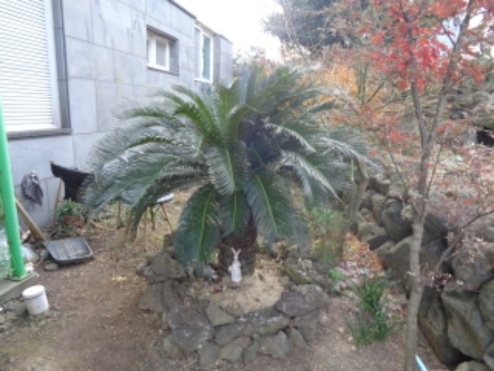 물건 사진 5