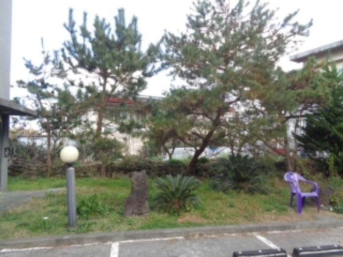 물건 사진 7