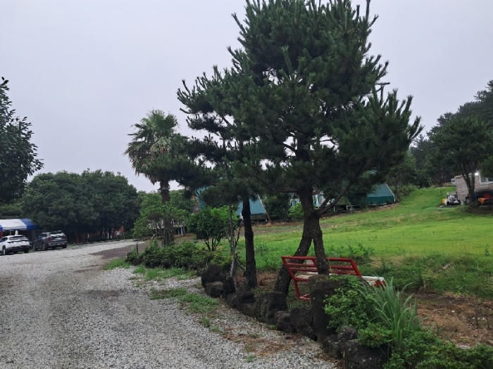 물건 사진 64