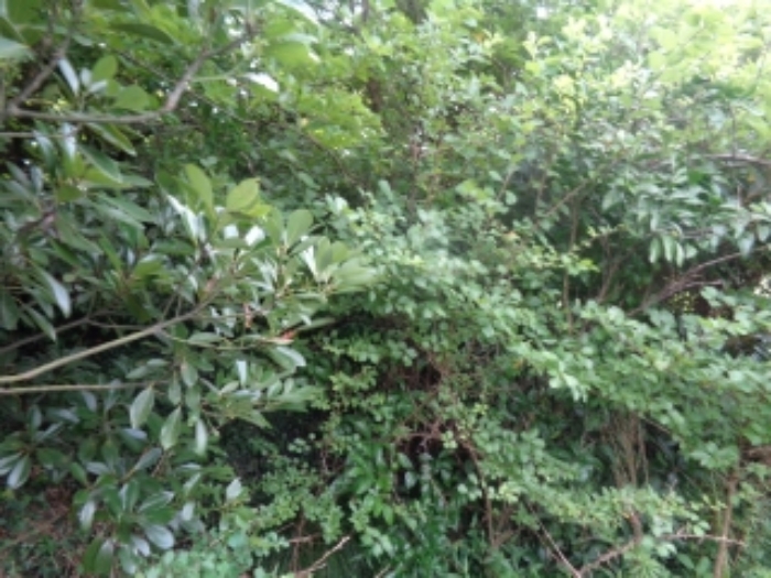 물건 사진 22
