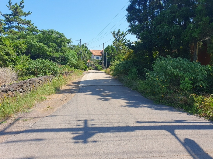 물건 사진 30
