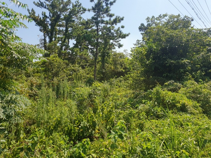물건 사진 37