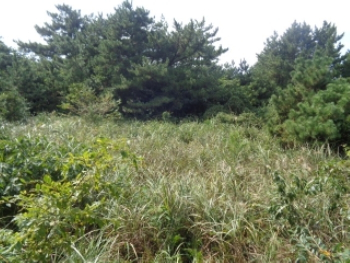 물건 사진 12