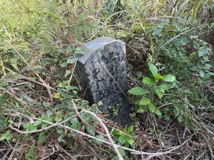 물건 사진 18