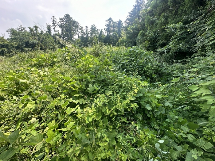 물건 사진 29