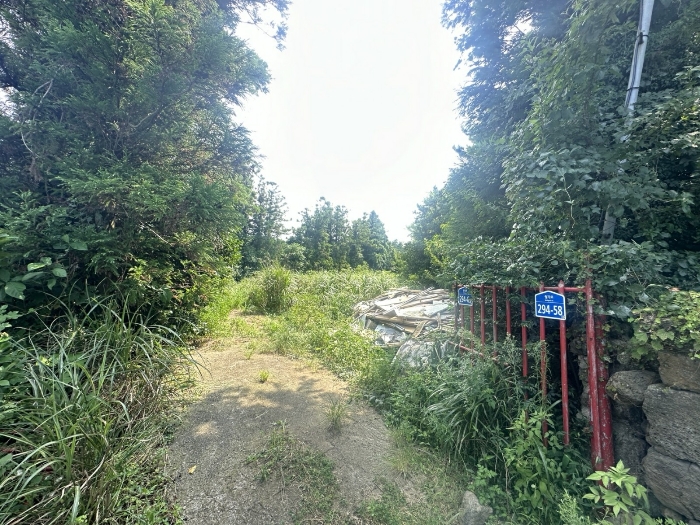물건 사진 30