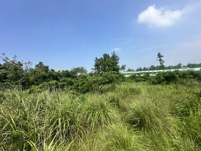 물건 사진 32