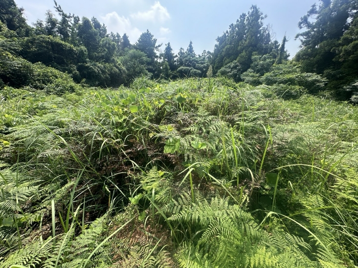 물건 사진 36