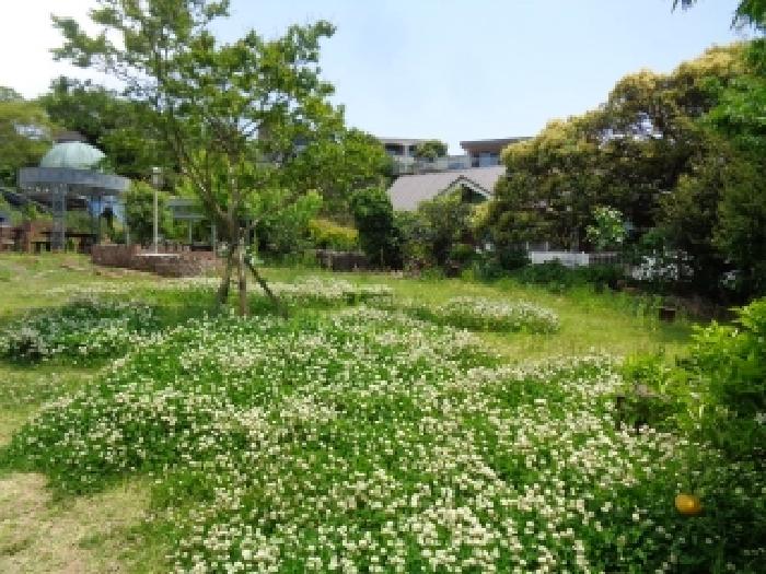 물건 사진 23