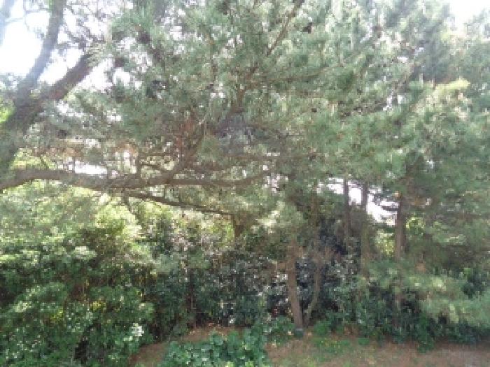 물건 사진 31