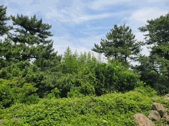 물건 사진 38