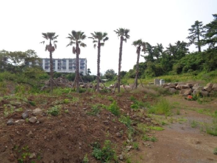 물건 사진 11