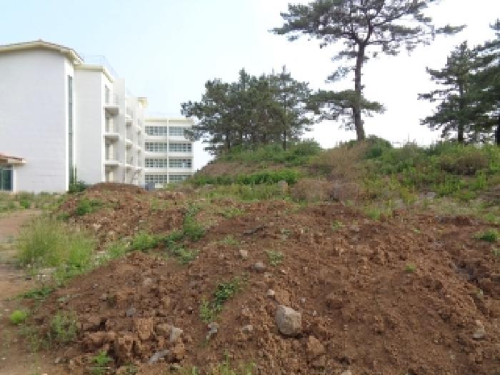 물건 사진 12