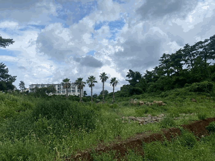 물건 사진 29