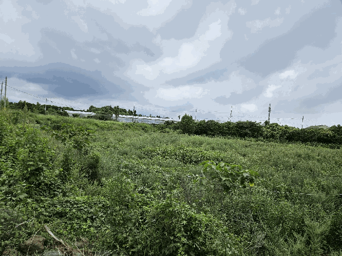 물건 사진 23