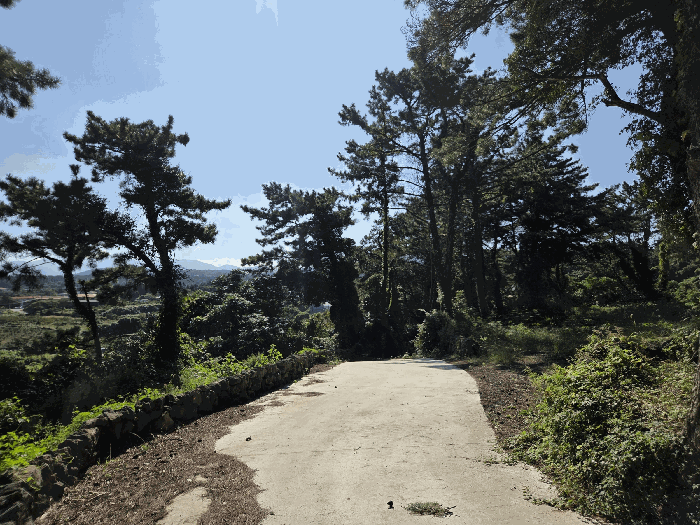 물건 사진 19