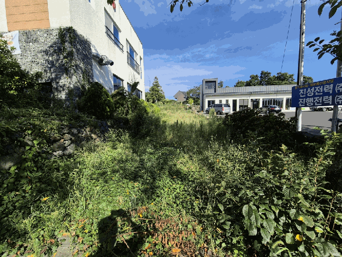 물건 사진 19