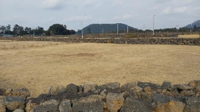 물건 사진 13