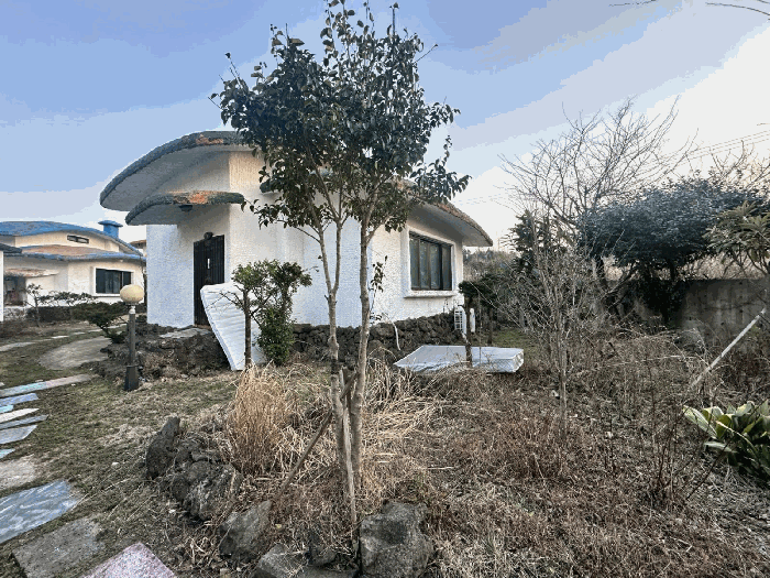 물건 사진 8