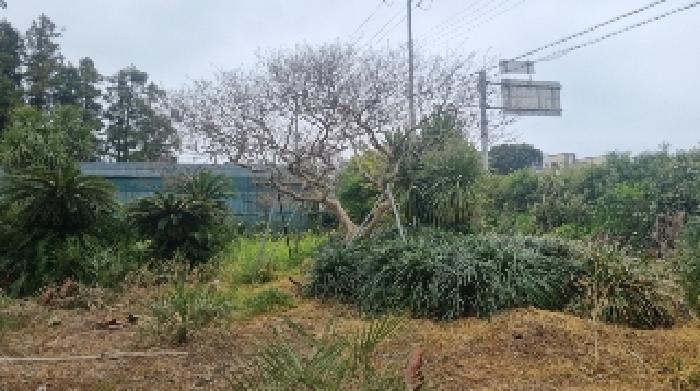 물건 사진 12