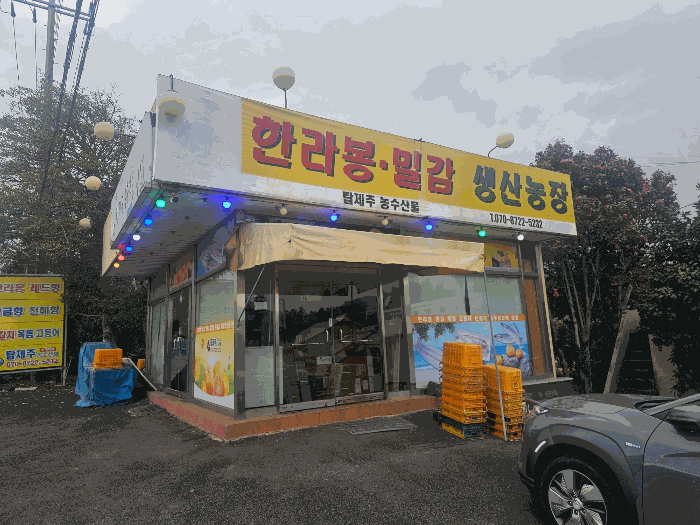 물건 사진 36