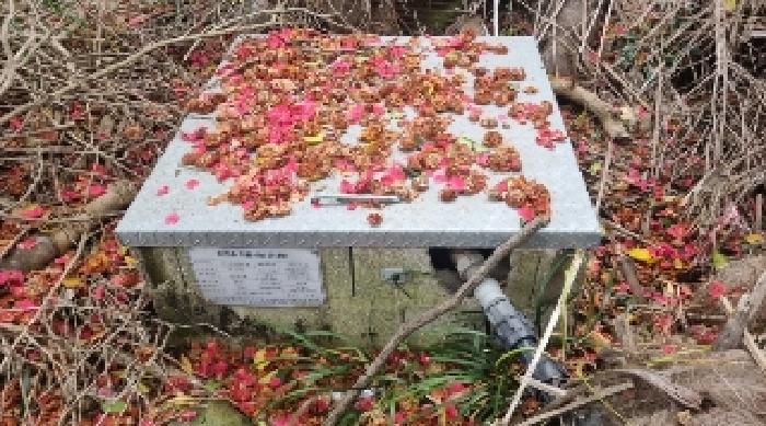 물건 사진 6