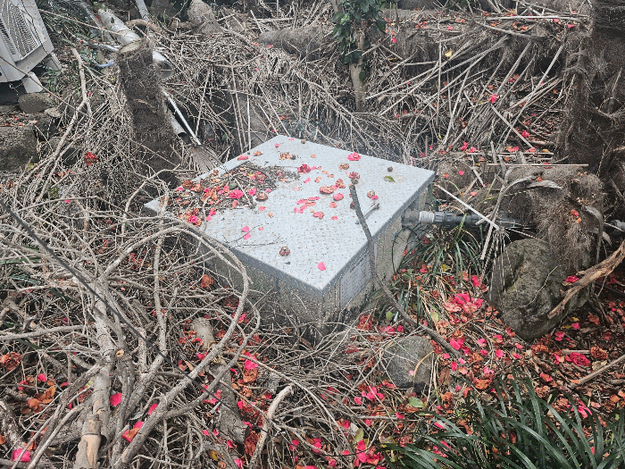 물건 사진 54