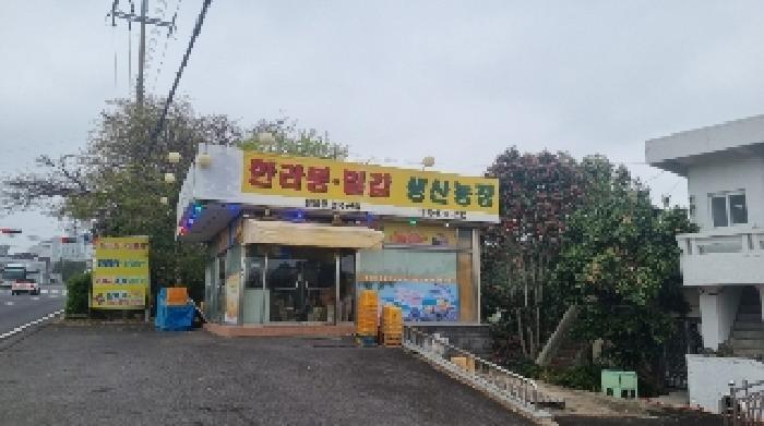 물건 사진 9