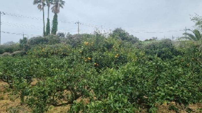 물건 사진 10