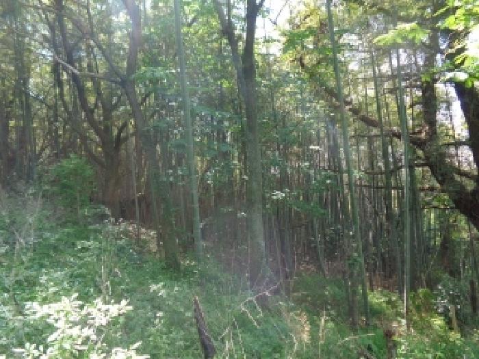 물건 사진 11