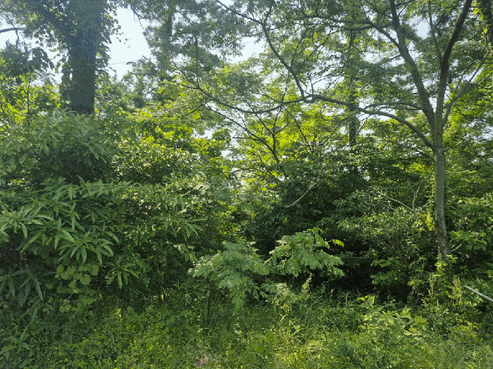 물건 사진 24