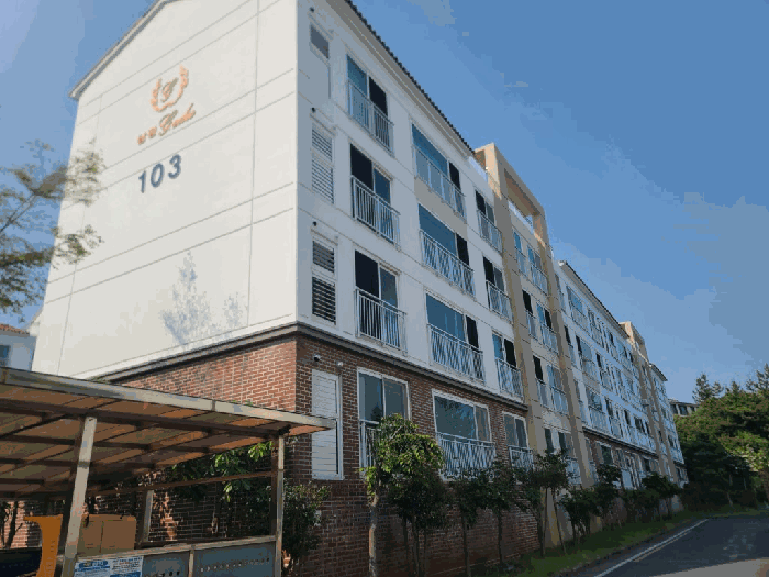 물건 사진 7