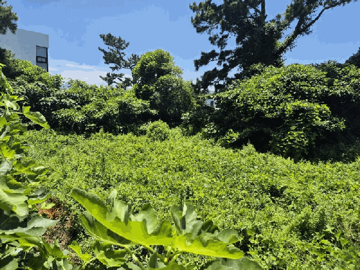 물건 사진 20