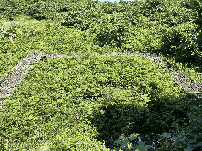 물건 사진 25