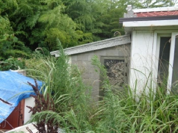 물건 사진 19