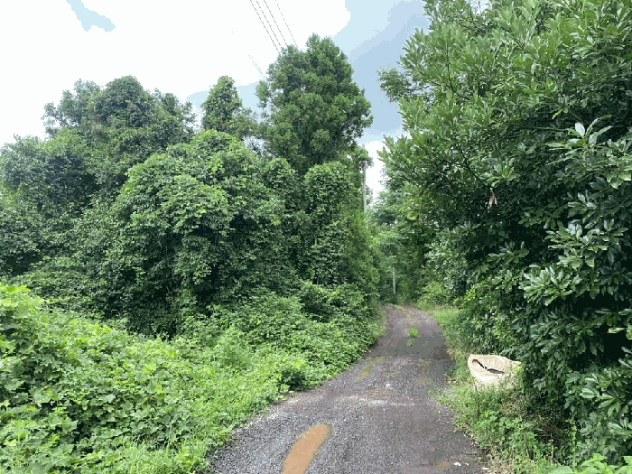 물건 사진 18
