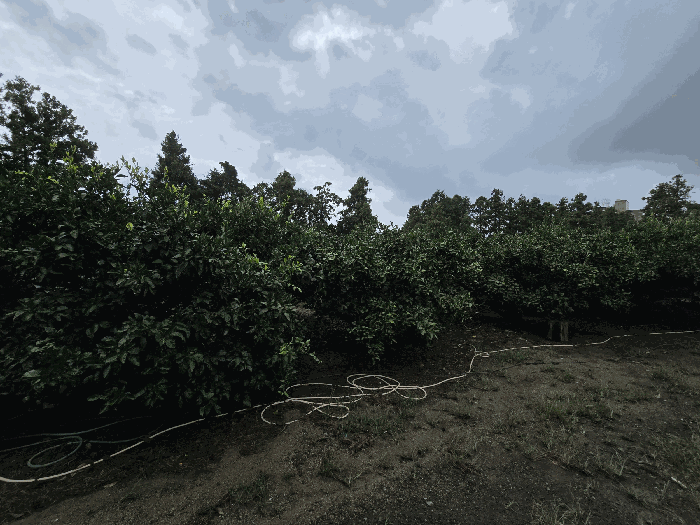 물건 사진 15