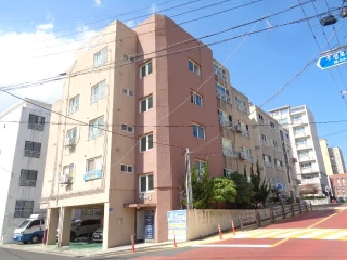 물건 사진 1