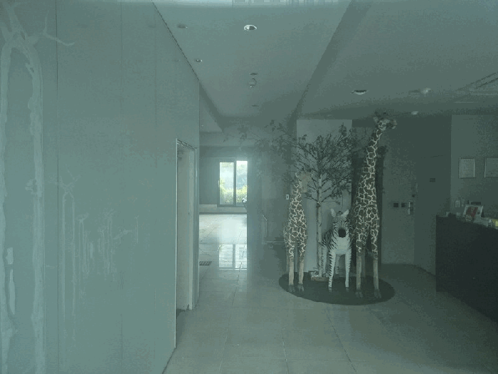 물건 사진 11