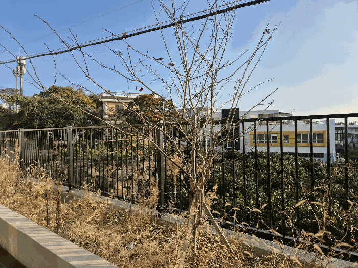 물건 사진 19