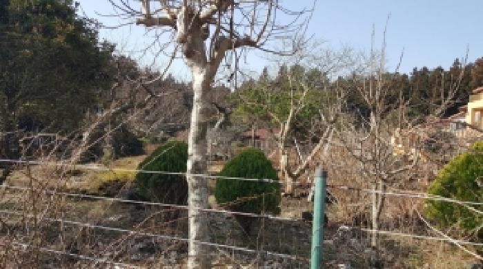 물건 사진 7