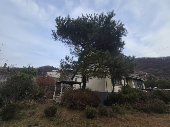 물건 사진 10