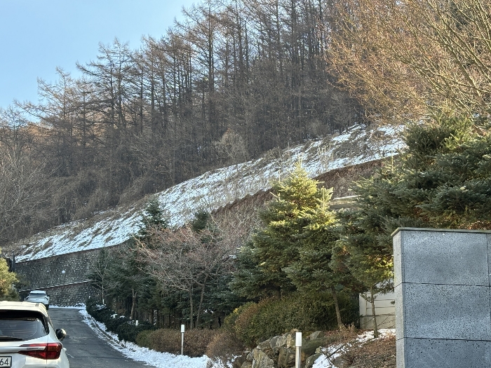 물건 사진 45