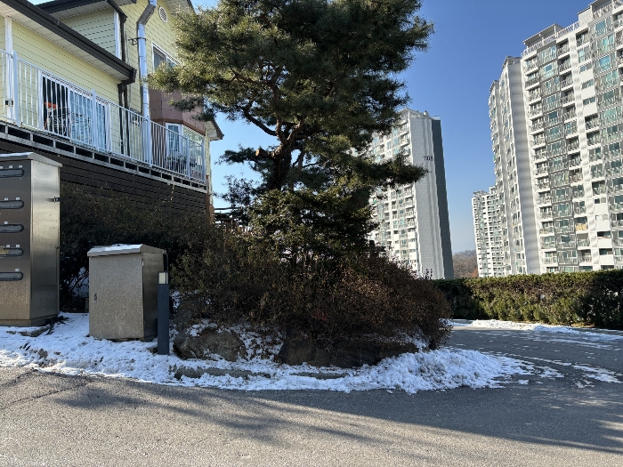 물건 사진 54